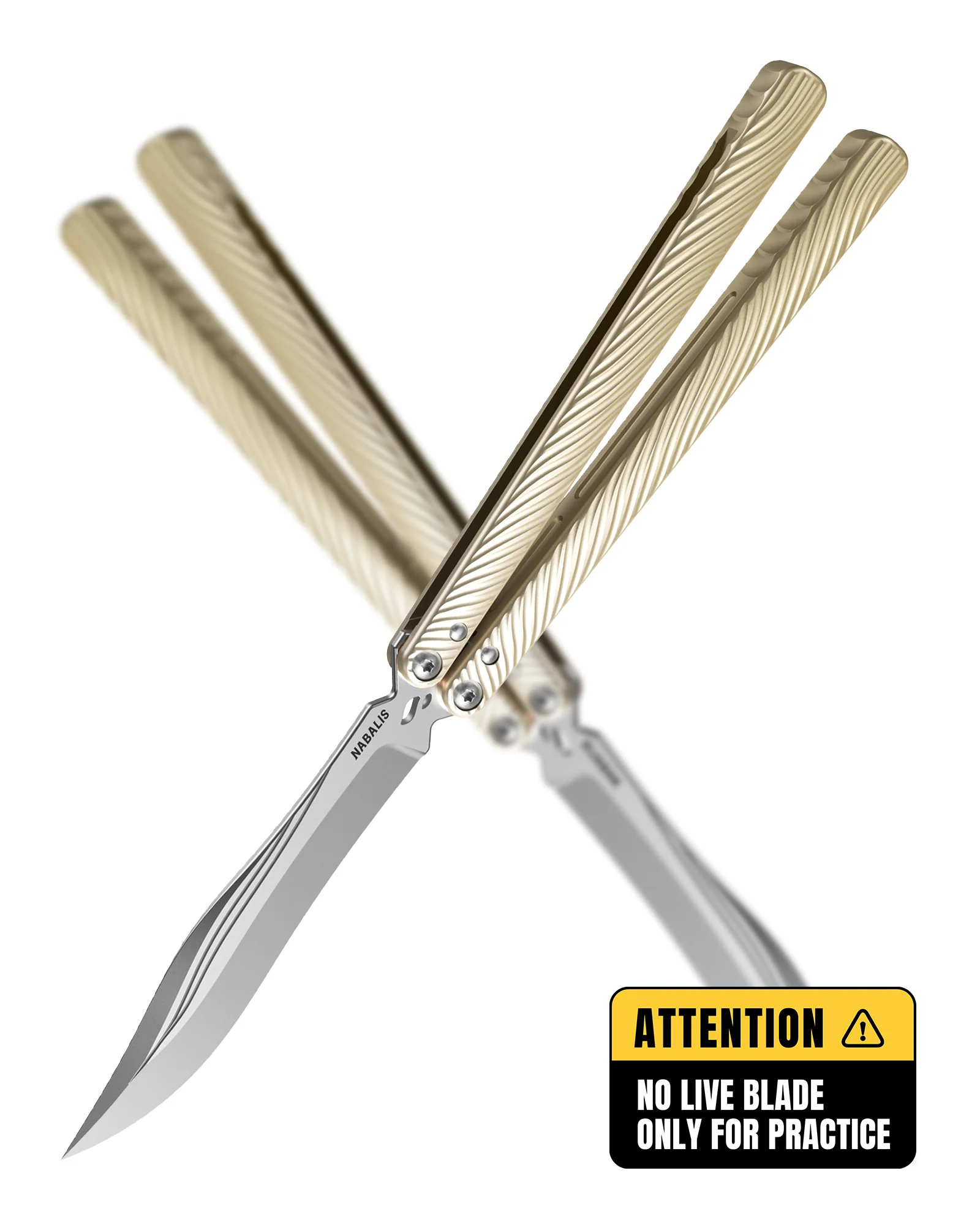 Wing Trainer With False Edge 7075 AL Handles - Image 26